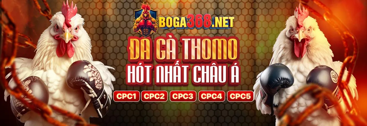 Giao diện cá cược đá gà trực tuyến Vwin88