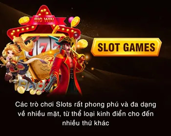Các môn thể thao đa dạng
